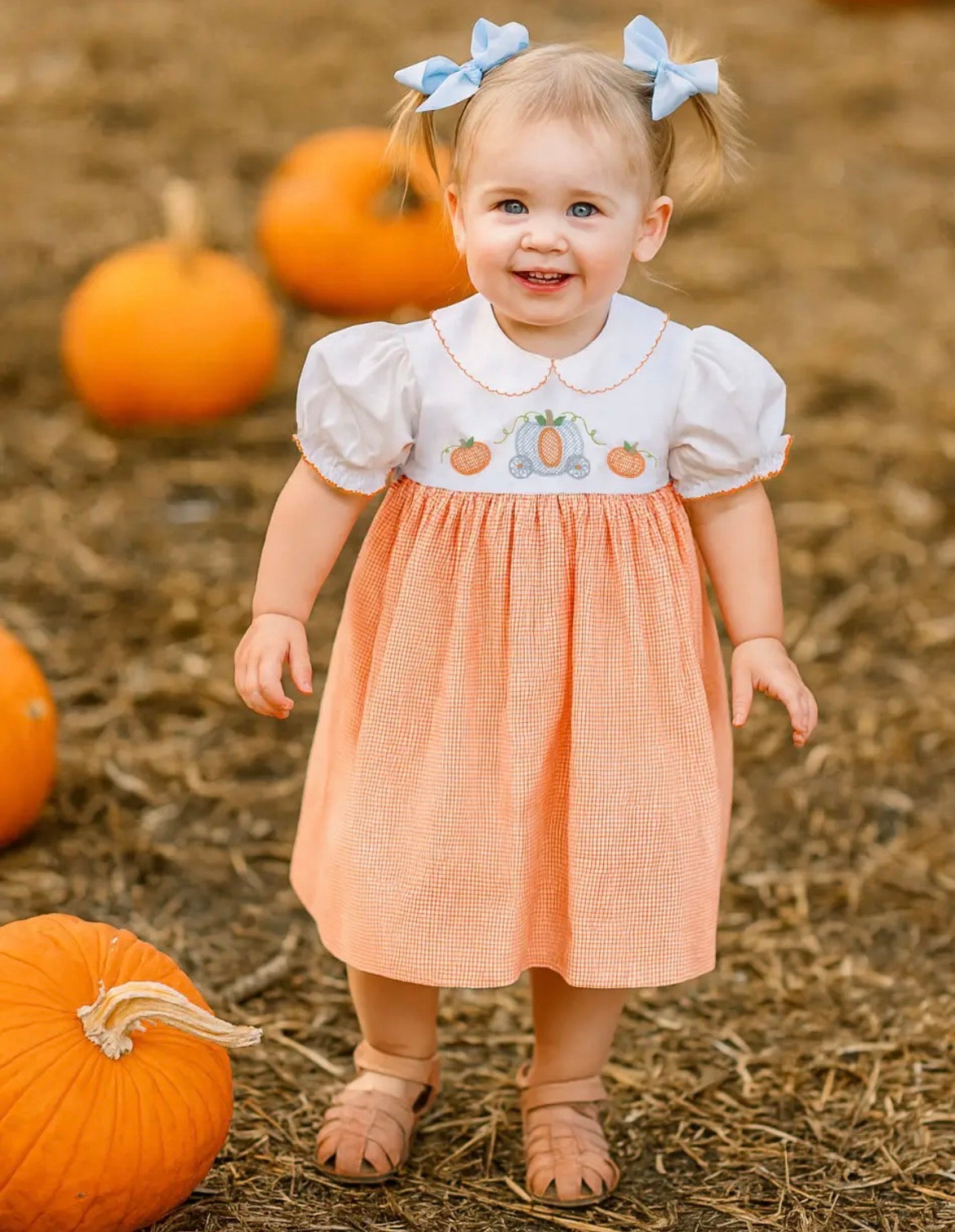 Princess Pumpkin Embroidered Smocked Dress